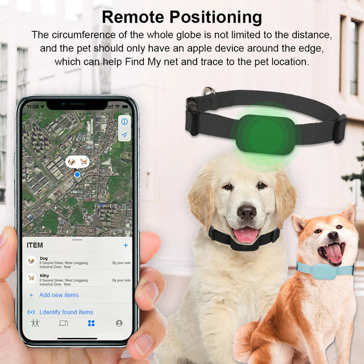 Collier GPS chien & chat : visible, localisable, et toujours retrouvable
