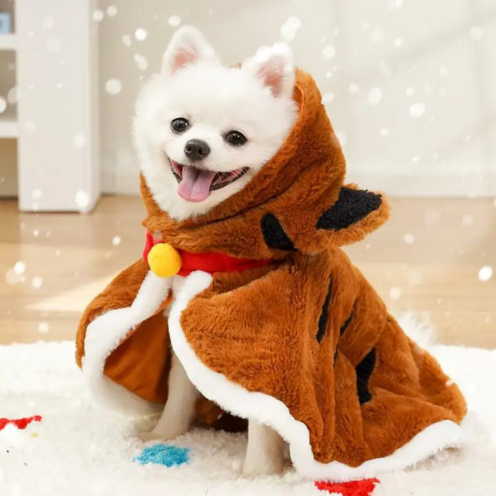 Cape d’hiver pour chien : douce, chaude, craquante