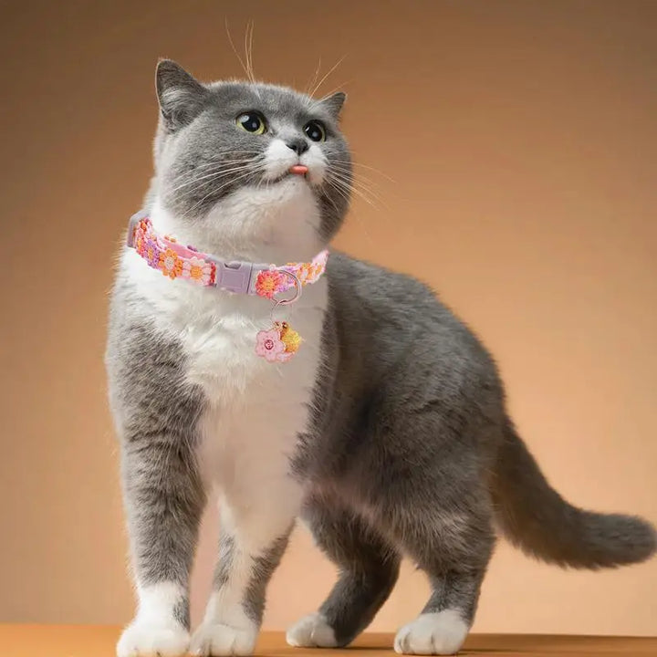 Collier chaton mignon – Pour les petits cœurs à quatre pattes