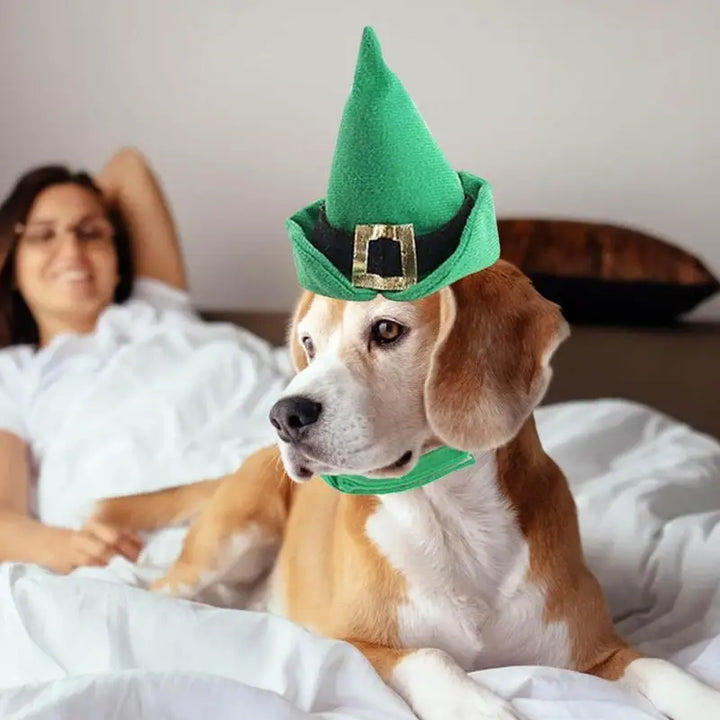 Chapeau vert pour chat ou petit chien - HautePattes