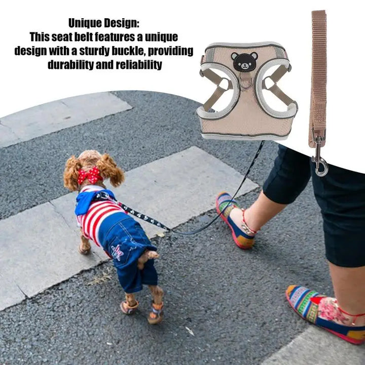 Harnais lumineux chien chat visible de nuit sans stress