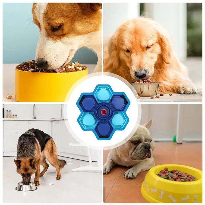 Gamelle lente anti-glouton - HautePattes