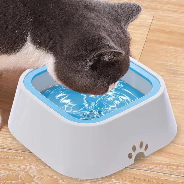 Gamelle anti-fuite pour chien grande capacité - HautePattes