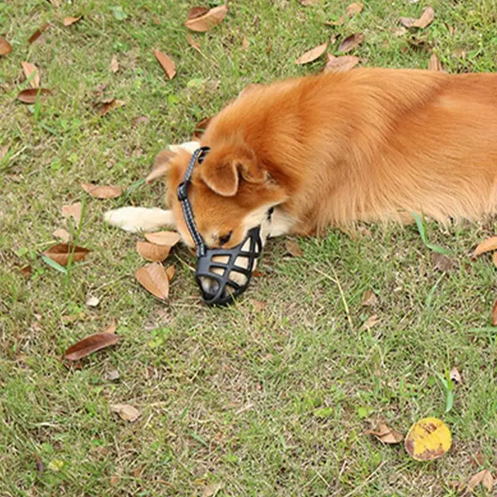 Muselière douce pour chien sensible aimé et protégé