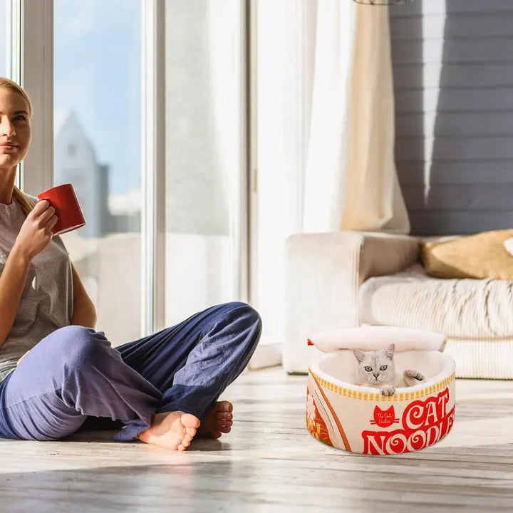 Lit nouilles ramen pour chat qui réchauffe le cœur et le corps