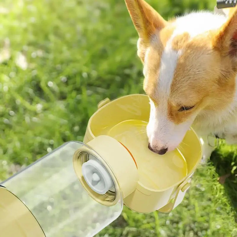 Bouteille de voyage multifonction pour chien - HautePattes