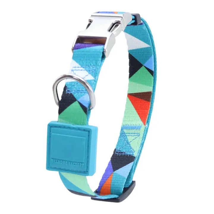 Collier pour chien puissant – Résistance, confort, respect du lien