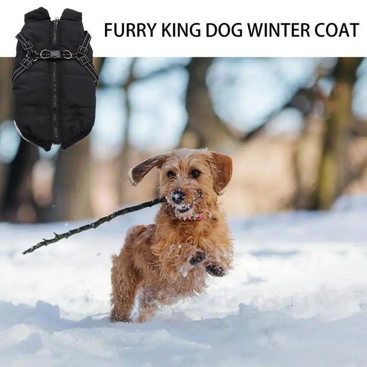 Manteau chaud avec harnais intégré – Hiver serein pour votre chien