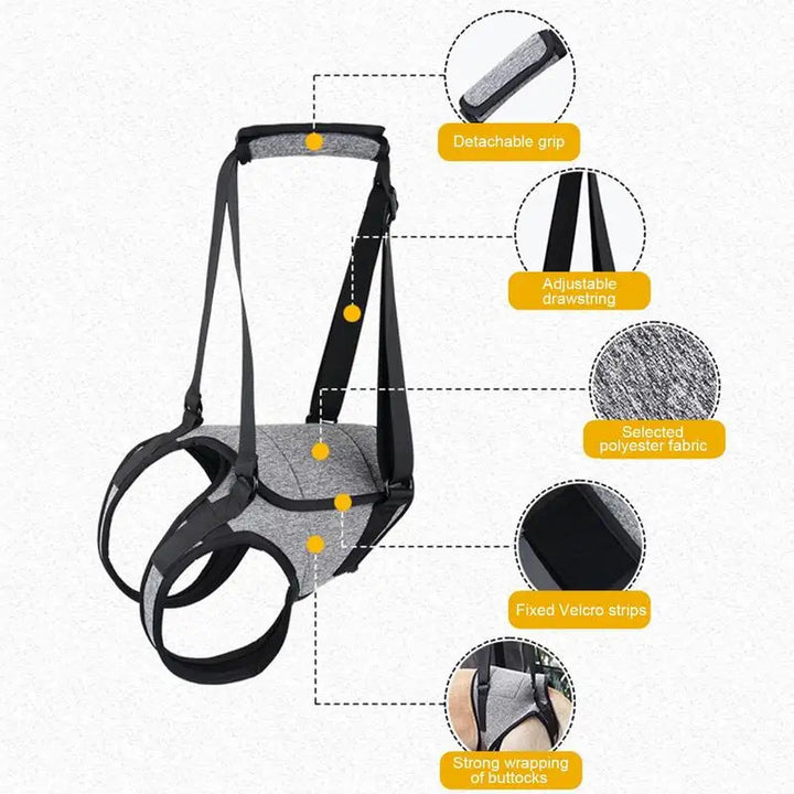 Harnais arrière pour chien âgé soutien doux et respectueux