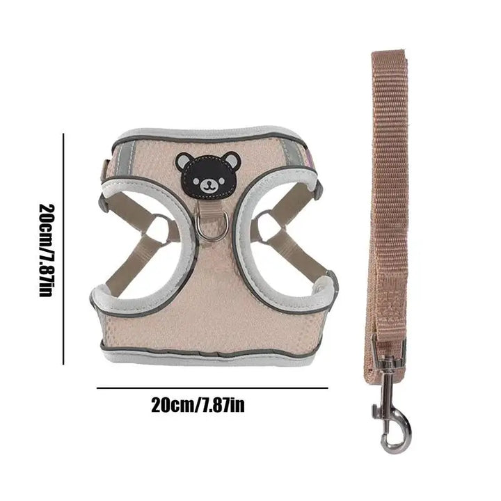 Harnais lumineux chien chat visible de nuit sans stress