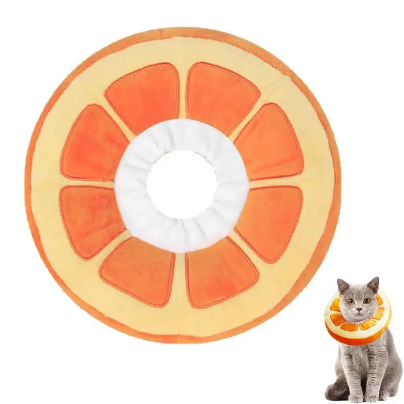 Collerette pour chat en forme d'orange - HautePattes