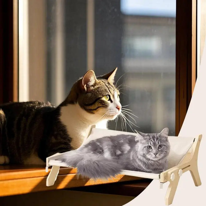 Perchoir suspendu hamac de fenêtre pour chat - HautePattes