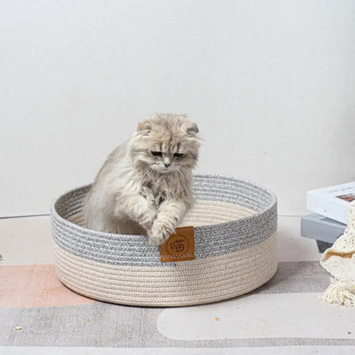 Panier Premium en Corde de Coton - HautePattes