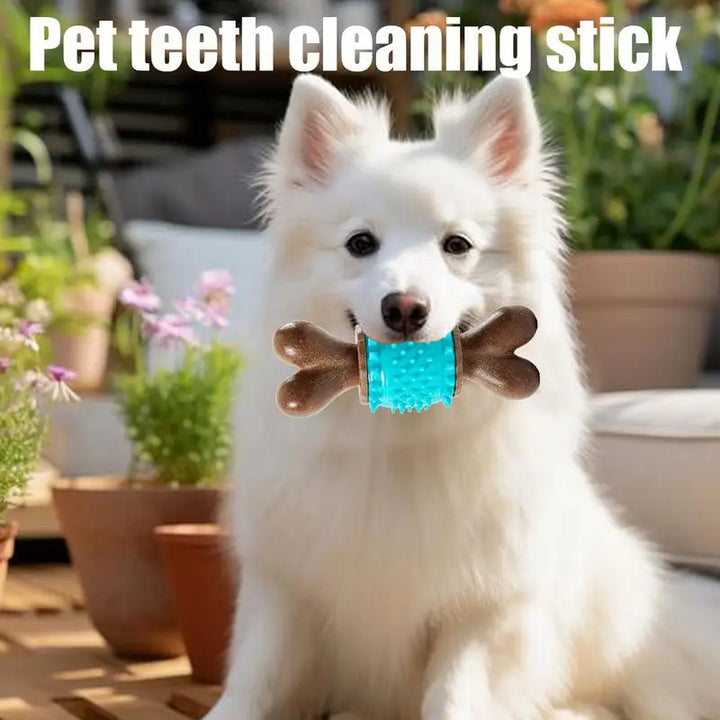 Jouet à mâcher soin dentaire pour Chien - HautePattes