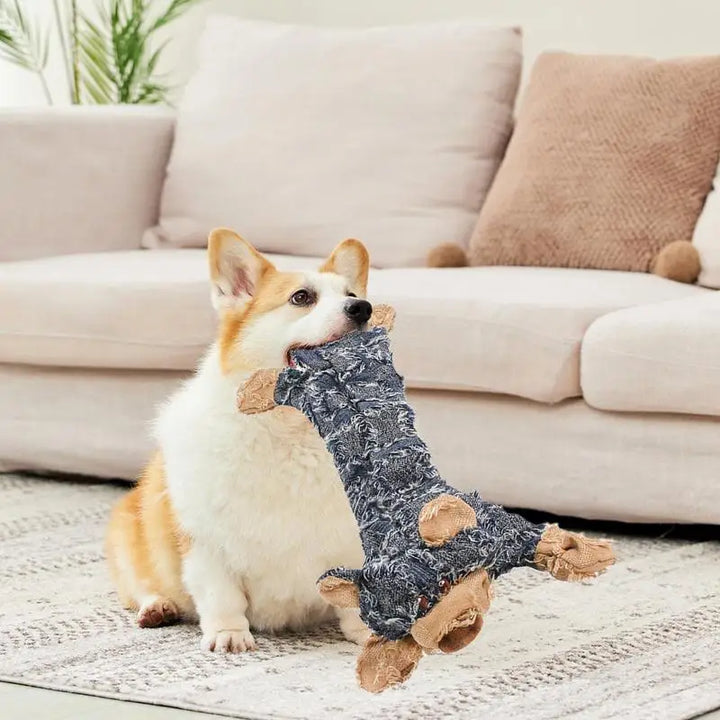 Jouet Couineur Indestructible en Forme d'Ours pour Chien - HautePattes