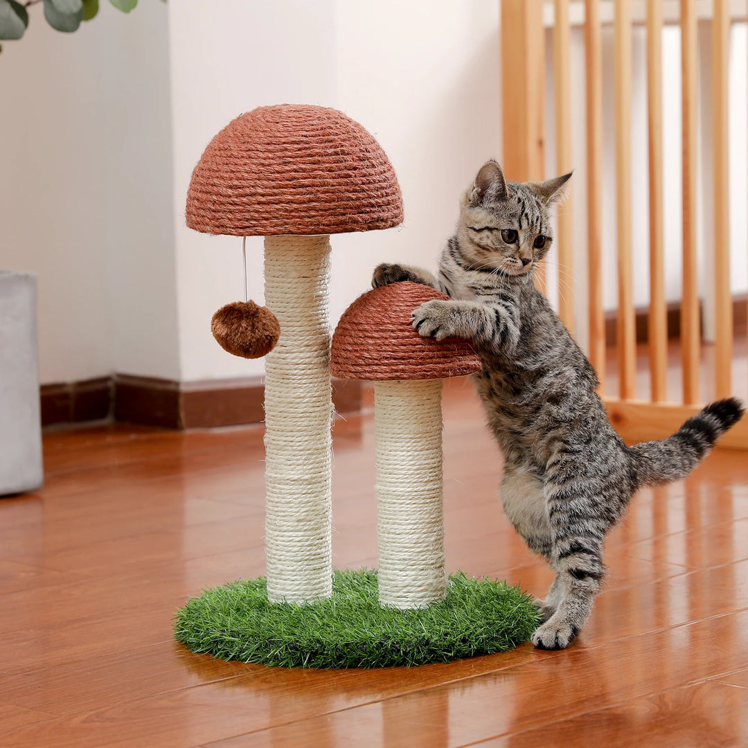 Petit Arbre à Chat Champignon - HautePattes