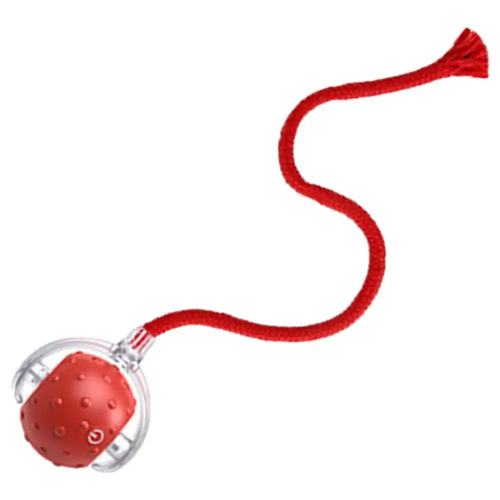 Balle de jouet interactive pour chat chien recharge USB - HautePattes