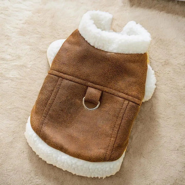 Pull d’Hiver pour Chiens – Confort & Chaleur avec Trou pour Laisse - HautePattes