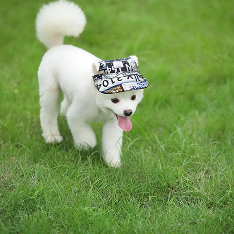 Casquette de baseball réglable avec trous pour les oreilles chien - HautePattes