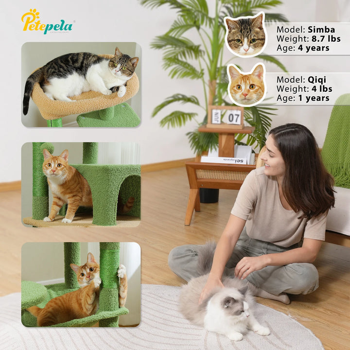 Tour cocon pour chats sensibles – Hamac & condo apaisants