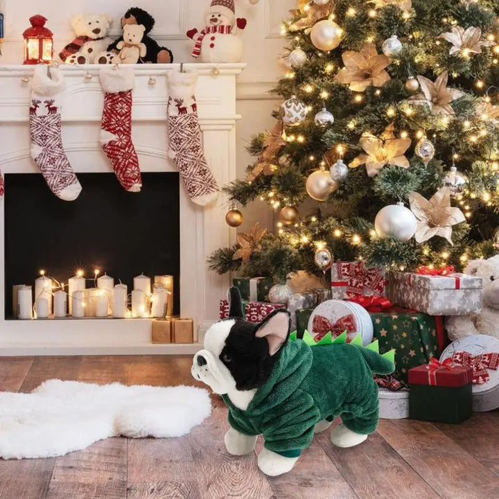 Sweat dinosaure pour chien ou chat : chaleur, mignonnerie, souvenirs