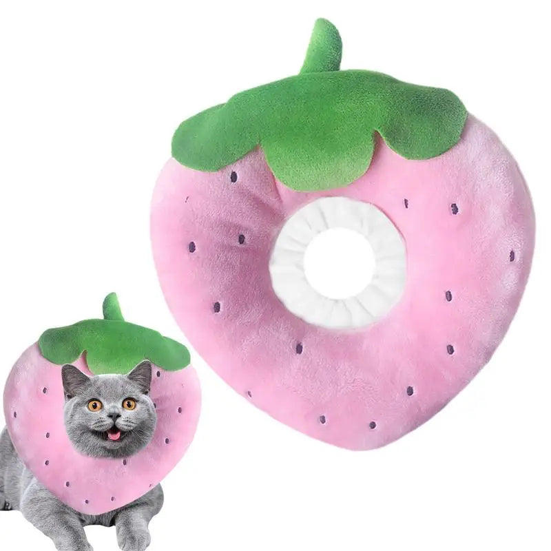 Collerette pour chat fruits - HautePattes