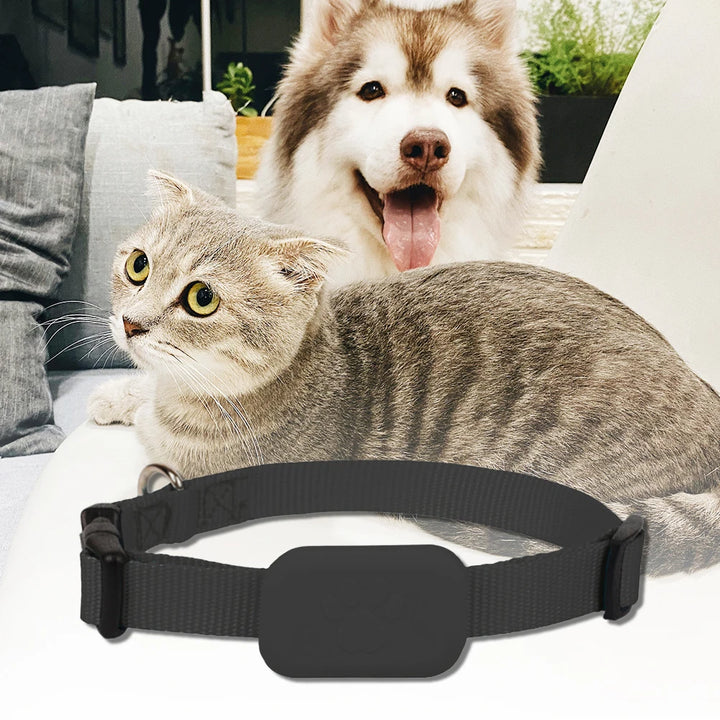 Collier GPS chien & chat : visible, localisable, et toujours retrouvable