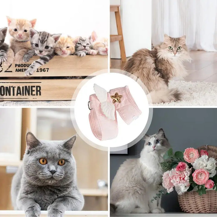 Harnais chaton ailes d’ange mignon doux et respirant