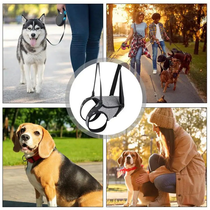 Harnais arrière pour chien âgé soutien doux et respectueux