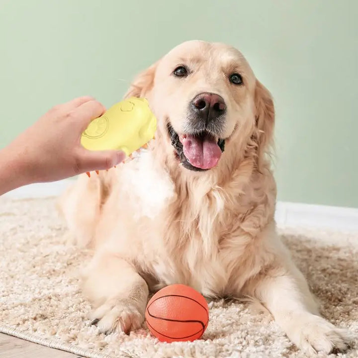 Brosse à Vapeur Premium - HautePattes