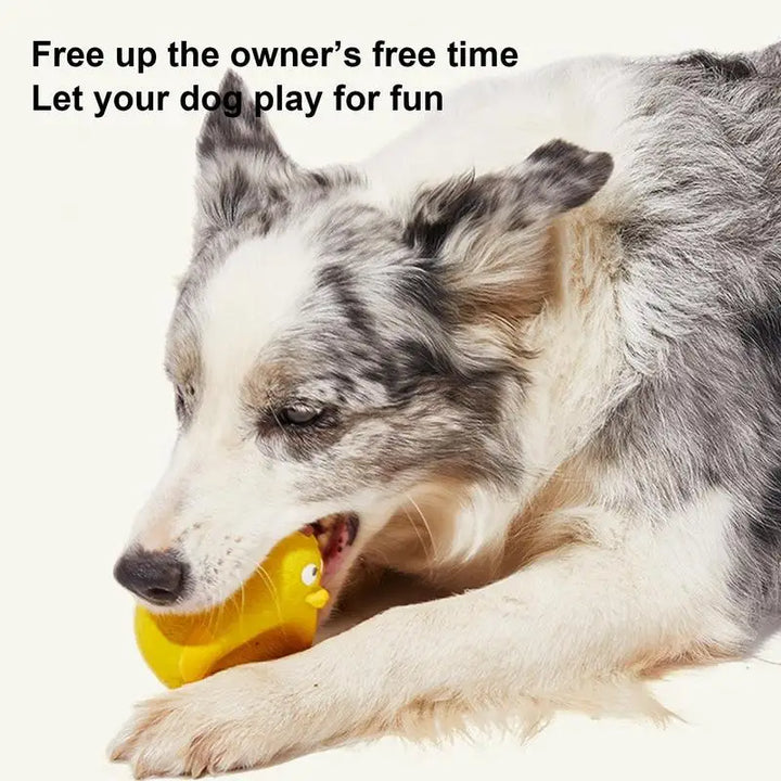 Jouet Couineur Mignon pour Chien - HautePattes