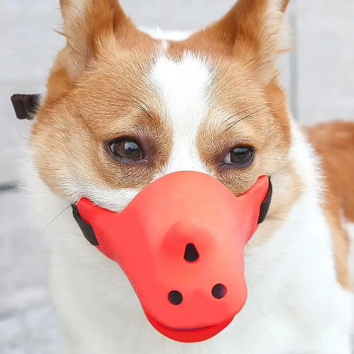 Muselière souple pour chien aimé et respecté