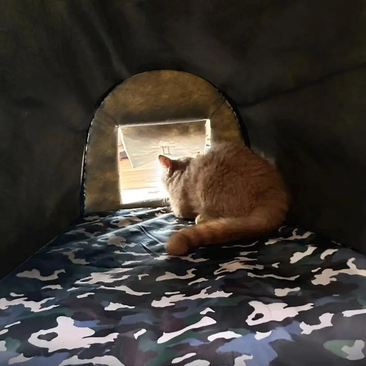 Abri extérieur pour chat – Chaleur & protection en hiver