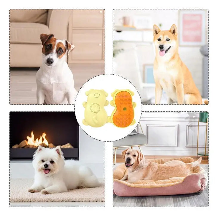 Brosse à Vapeur Premium - HautePattes