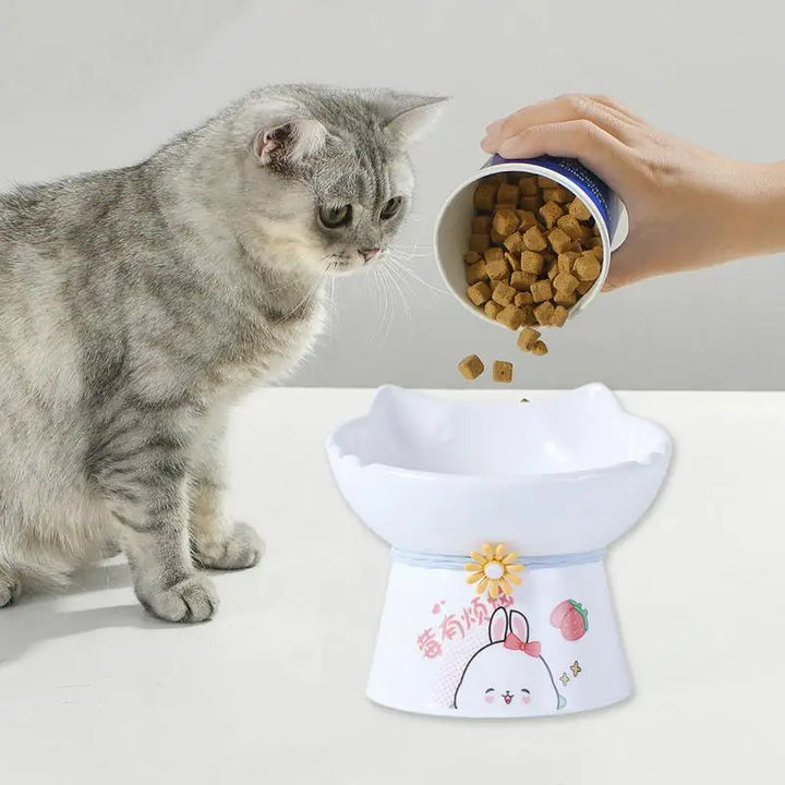 Gamelle surélevée chat – Pour manger sans douleur, tous les jours
