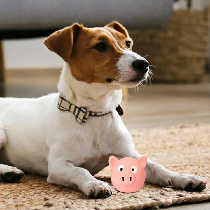 Jouet Couineur en Forme de Cochon pour Chien - HautePattes