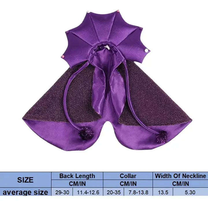 Costume sorcier chien & chat : léger, brillant et irrésistible