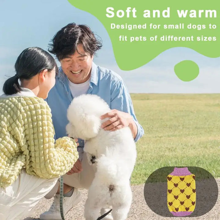 Pull en Tricot à Col Roulé pour Chiens & Chats - HautePattes