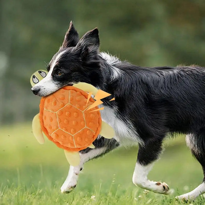 Peluche en Forme de Tortue pour Chien - HautePattes