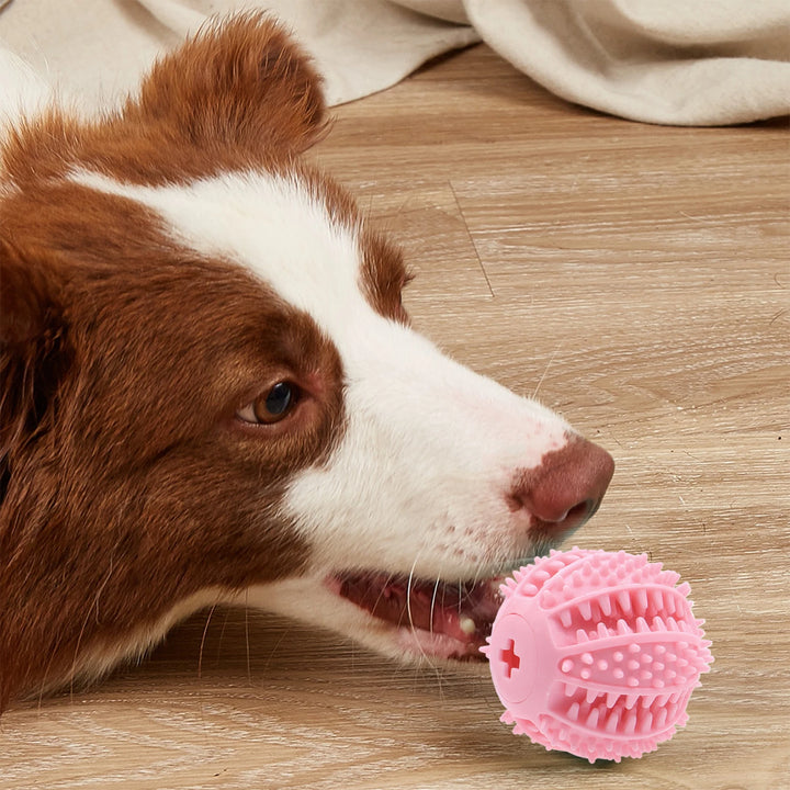 Balle Intelligente à Friandises – Éveillez l’instinct - HautePattes