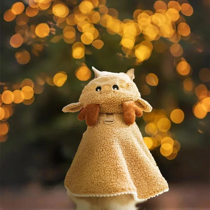 Costume de Noël pour chien : doux, magique, inoubliable