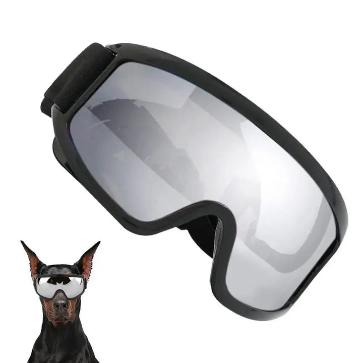 Lunettes pour chien protection UV - HautePattes
