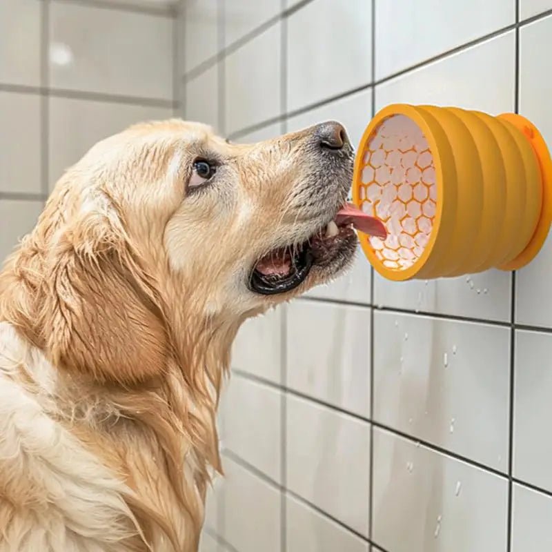 Gamelle à lécher en silicone pour chien 620 ml - HautePattes