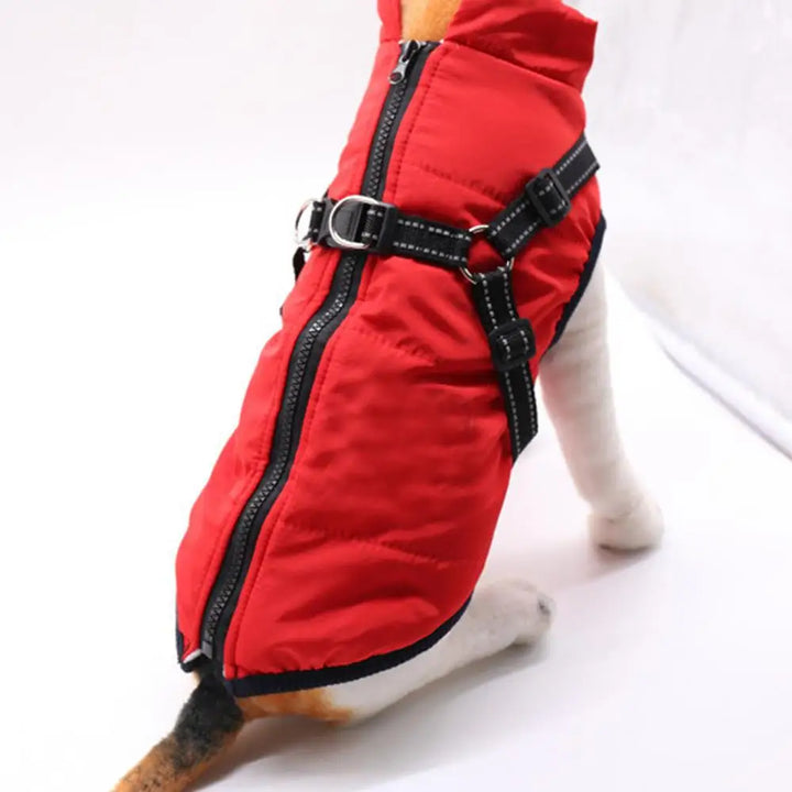 Manteau chaud avec harnais intégré – Hiver serein pour votre chien