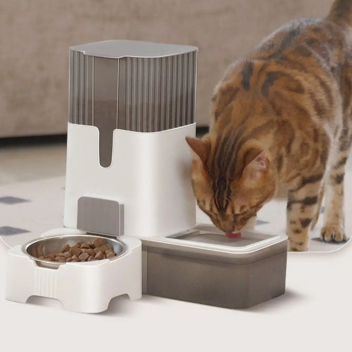 Distributeur Automatique 2-en-1 Nourriture & Eau - HautePattes