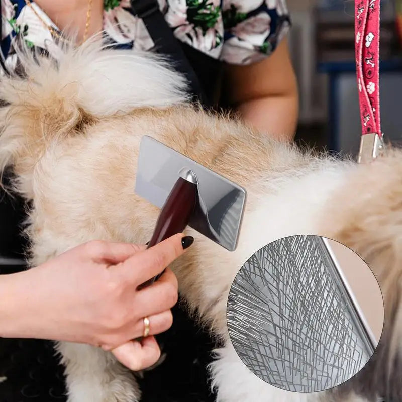 Peigne brosse chien chat bois : soin calme & complicité