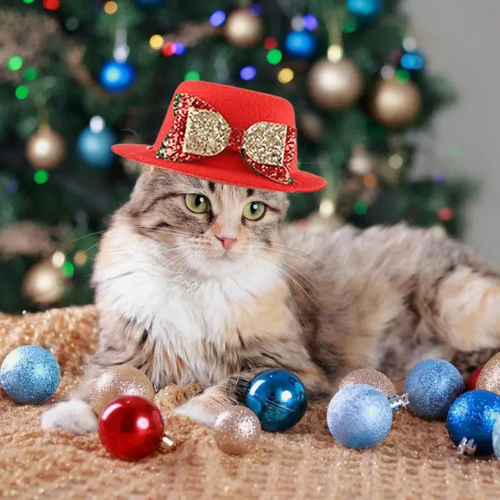 Chapeau rouge de Noël pour animaux de compagnie - HautePattes