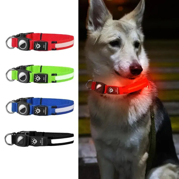 Collier lumineux chien AirTag : visible, localisable, rassurant de jour comme de nuit
