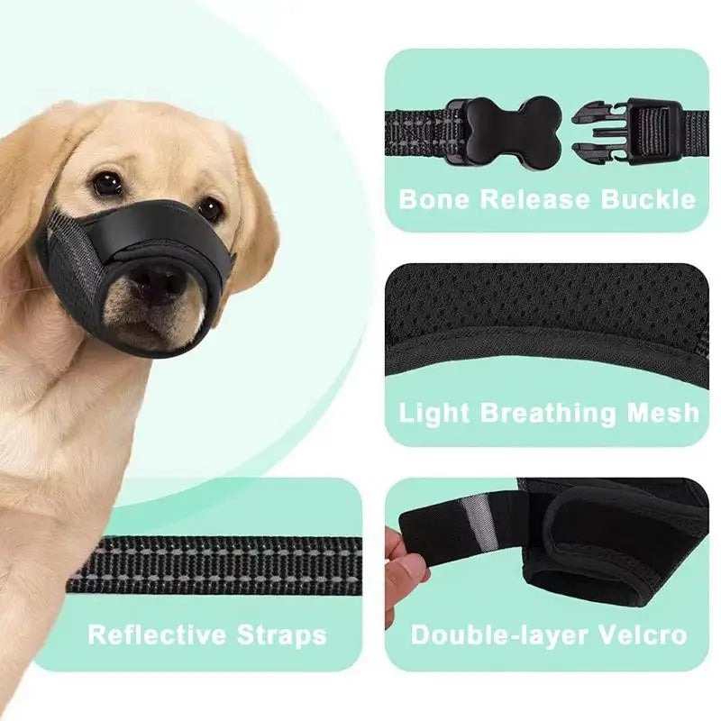 Muselière pour grand chien : protégez sans brimer, encadrez avec amour