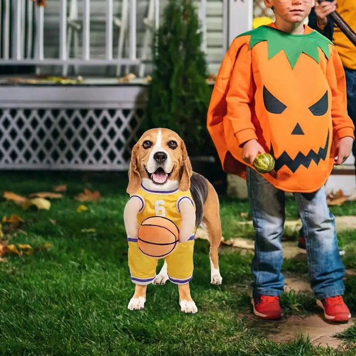 Costume basketteur pour chien : transforme-le en star du salon